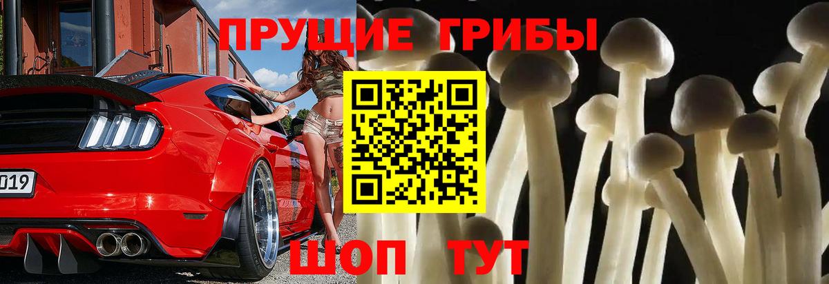Воскресенск  Псилоцибиновые грибы прущие грибы  Галлюциногенные грибы мицелий  Вход с VPN 